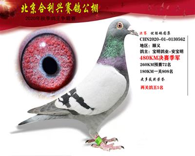 北京合利興公棚決賽季軍