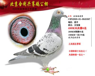 北京合利興公棚決賽第六名