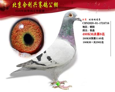北京合利興公棚決賽第八名