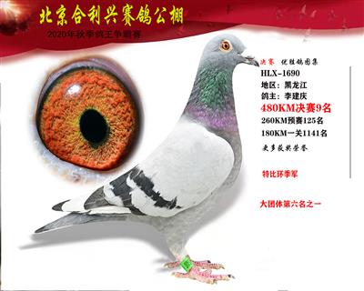 北京合利興公棚決賽第九名