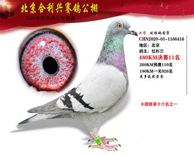 北京合利興公棚決賽第十一名