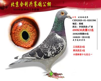 北京合利興公棚決賽第十二名