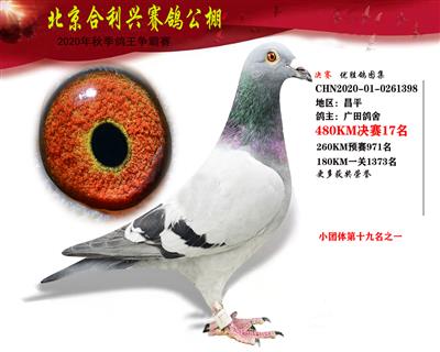 北京合利興公棚決賽第十七名