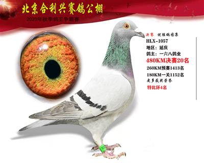 北京合利興公棚決賽第二十名