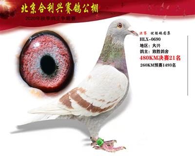北京合利興公棚決賽第二十一名