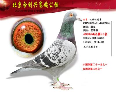 北京合利興公棚決賽第二十二名