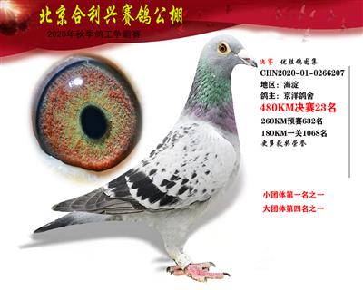北京合利興公棚決賽第二十三名
