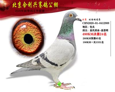 北京合利興公棚決賽第二十四名