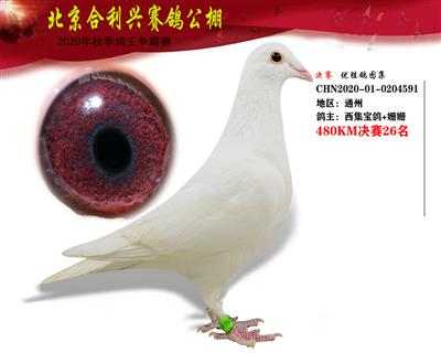 北京合利興公棚決賽第二十六名
