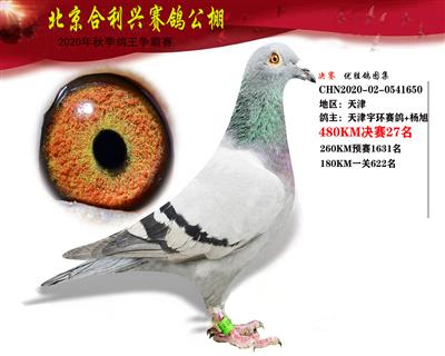 北京合利興公棚決賽第二十七名