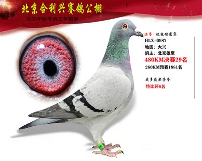 北京合利興公棚決賽第二十九名