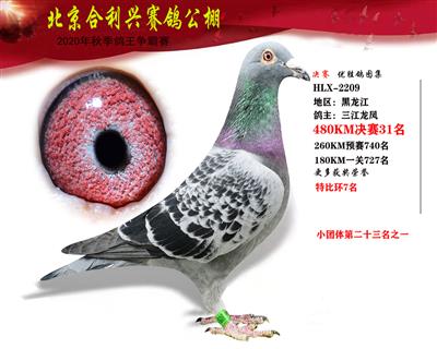 北京合利興公棚決賽第三十一名