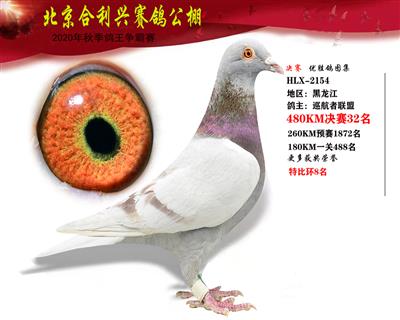 北京合利興公棚決賽第三十二名