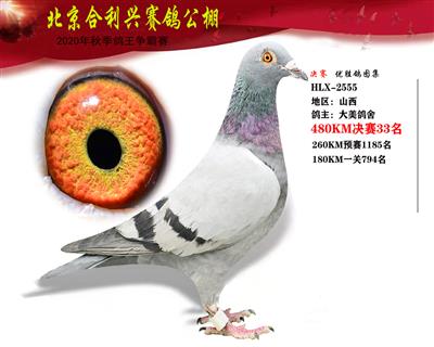 北京合利興公棚決賽第三十三名