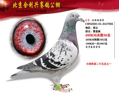 北京合利興公棚決賽第三十六名