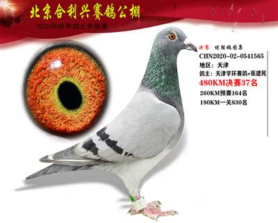 北京合利興公棚決賽第三十七名