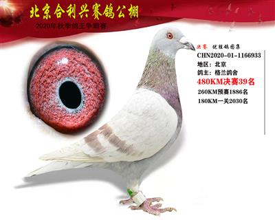 北京合利興公棚決賽第三十九名