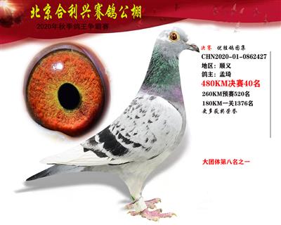 北京合利興公棚決賽第四十名