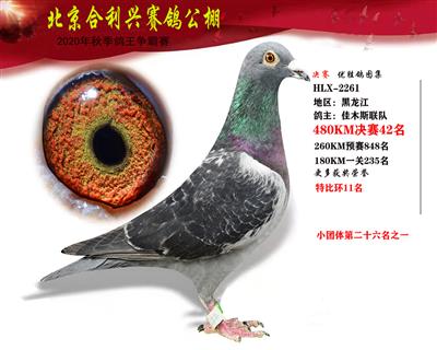 北京合利興公棚決賽第四十二名