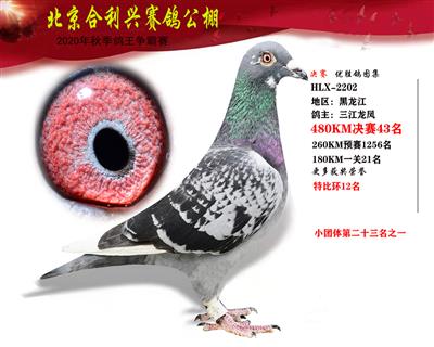 北京合利興公棚決賽第四十三名