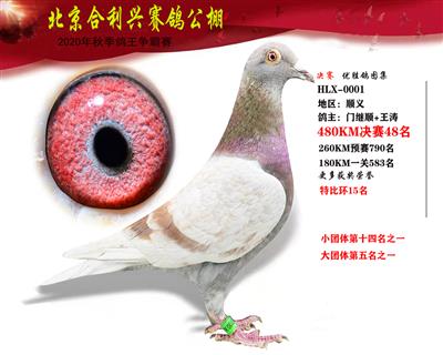 北京合利興公棚決賽第四十八名
