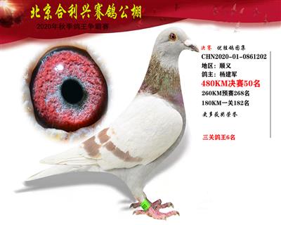 北京合利興公棚決賽第五十名