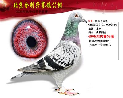 北京合利興公棚決賽第五十二名