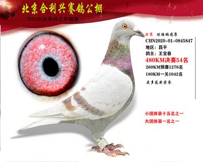 北京合利興公棚決賽第五十四名
