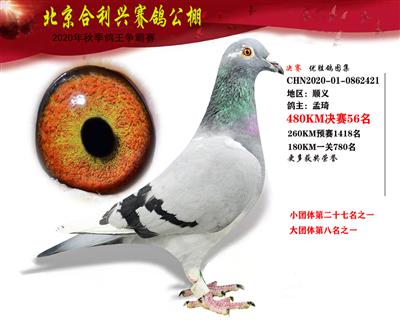 北京合利興公棚決賽第五十六名