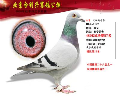 北京合利興公棚決賽第五十七名