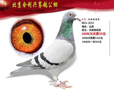 北京合利興公棚決賽第五十九名