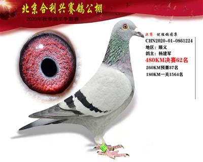 北京合利興公棚決賽第六十二名