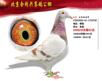 北京合利興公棚決賽第六十三名