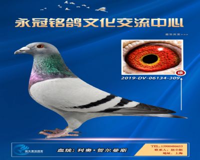 哈格栋-贝克-施维克