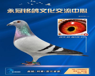 哈格栋-贝克-施维克