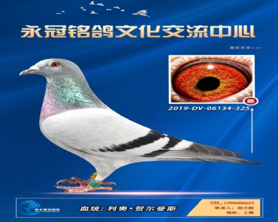 哈格栋-贝克-施维克