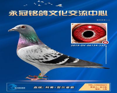 哈格栋-贝克-施维克