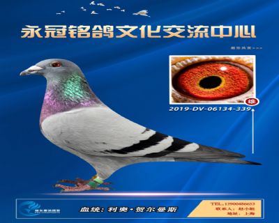 哈格栋-贝克-施维克