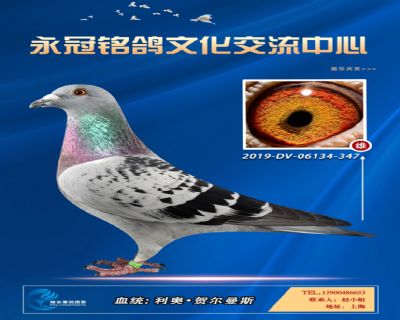 哈格栋-贝克-施维克