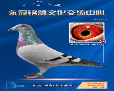 哈格栋-贝克-施维克