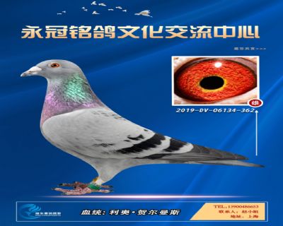 哈格栋-贝克-施维克