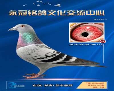哈格栋-贝克-施维克