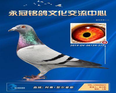 哈格栋-贝克-施维克
