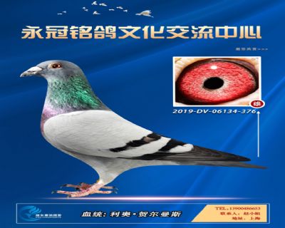 哈格栋-贝克-施维克