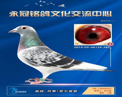 哈格栋-贝克-施维克
