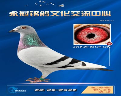 哈格栋-贝克-施维克