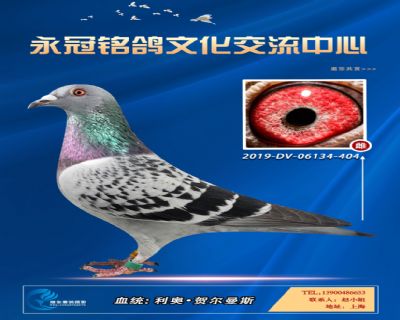 哈格栋-贝克-施维克