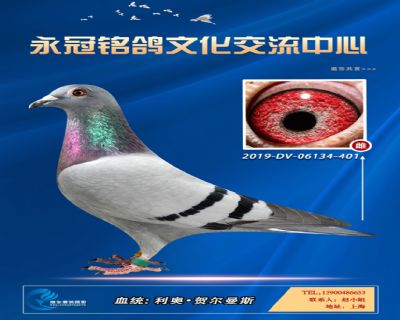哈格栋-贝克-施维克
