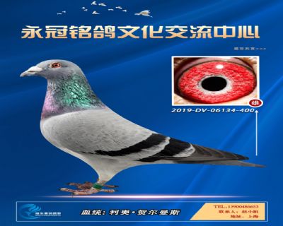 哈格栋-贝克-施维克