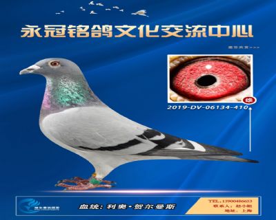 哈格栋-贝克-施维克
